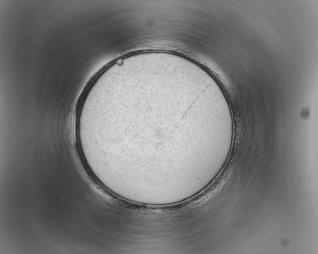 X0000116891079201001121338