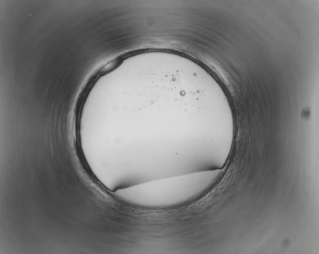 X0000116891080201001121338