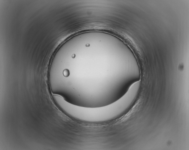 X0000116891081201001121338