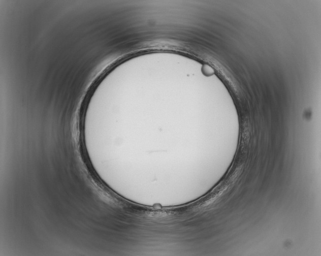 X0000116891082201001121338