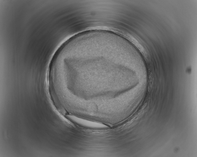 X0000116891084201001121338