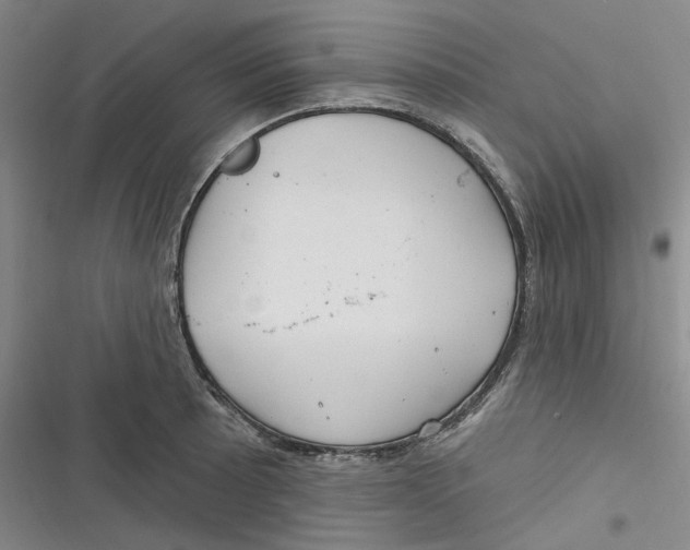 X0000116891089201001121338