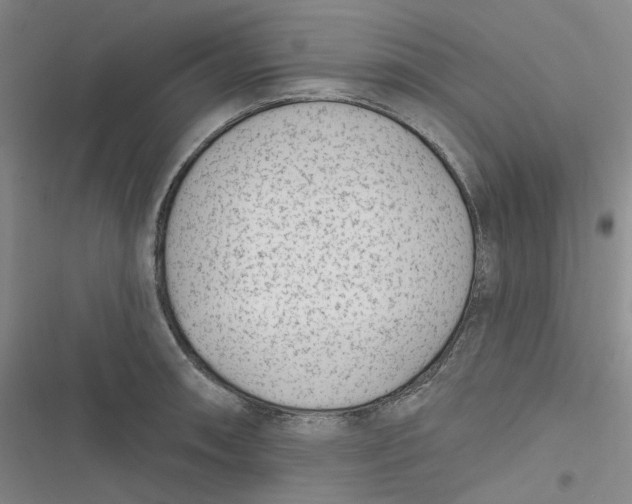 X0000116891090201001121338