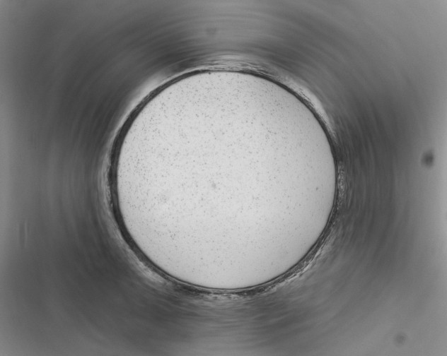 X0000116891091201001121338