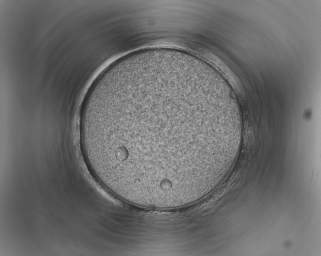 X0000116891092201001121338