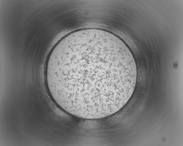 X0000116891094201001121338