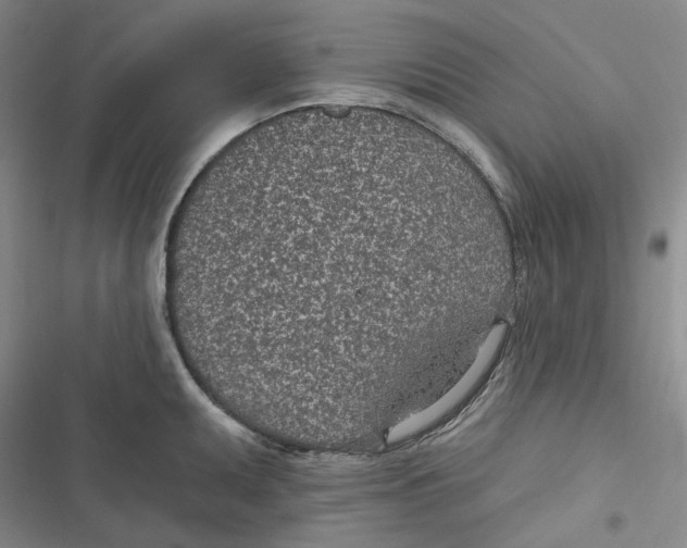 X0000116891095201001121338