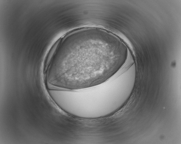 X0000116891096201001121338