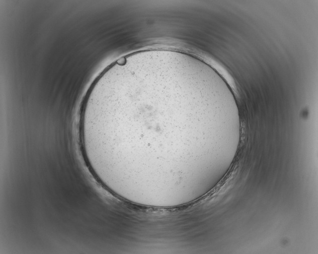 X0000116891099201001121338