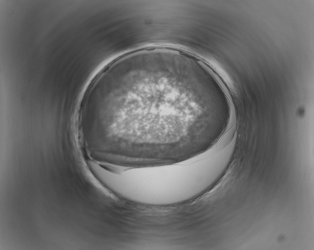 X0000116891100201001121338