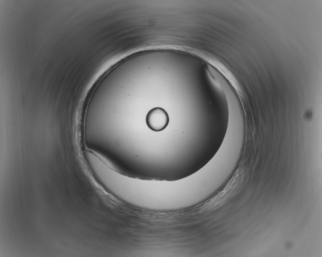 X0000116891101201001121338