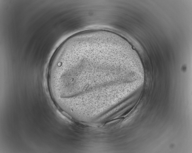 X0000116891102201001121338