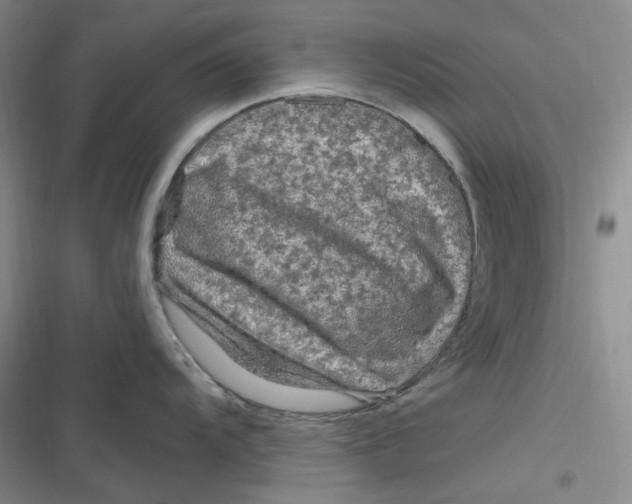 X0000116891104201001121338