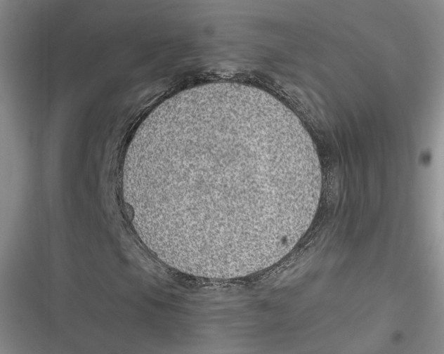 X0000116891105201001121337