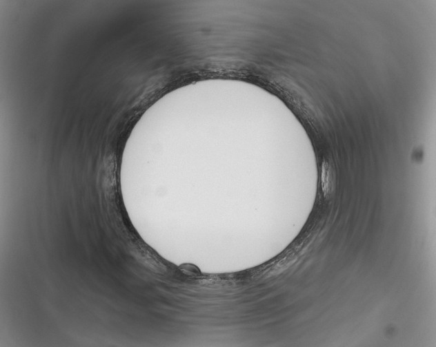 X0000116891107201001121337