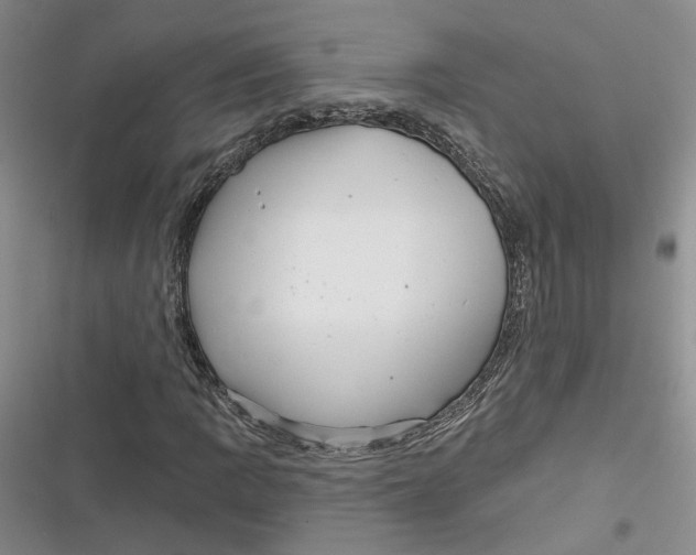 X0000116891109201001121337