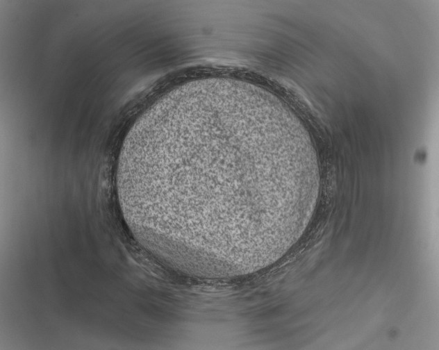 X0000116891110201001121337