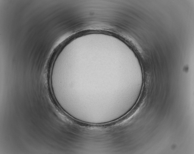 X0000116891114201001121338