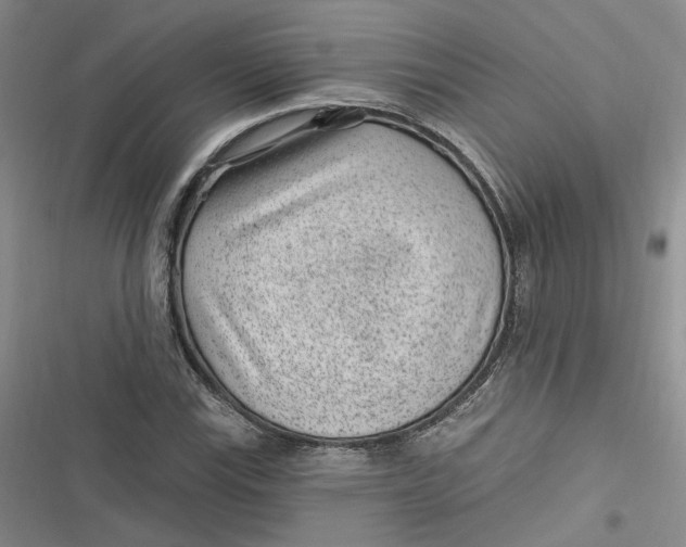 X0000116891115201001121338