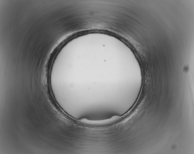 X0000116891118201001121338