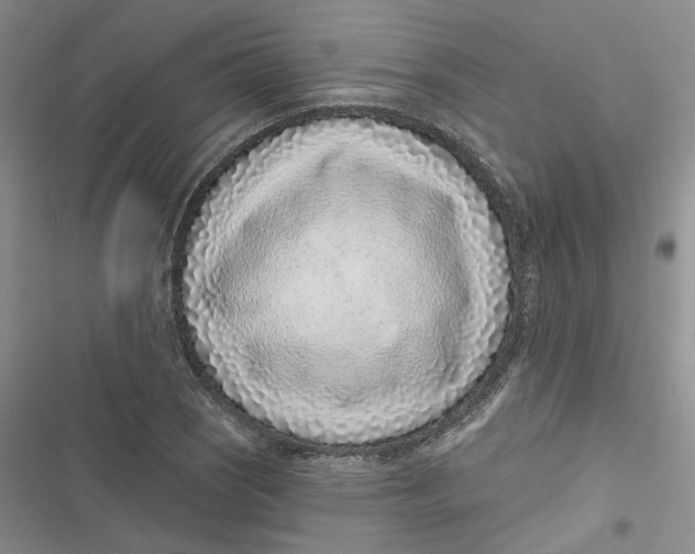 X0000116891121201001121338