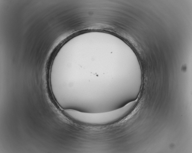 X0000116891122201001121338