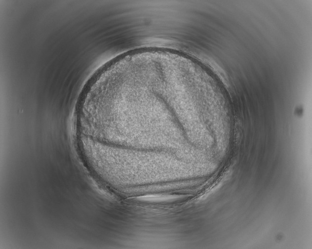 X0000116891125201001121338