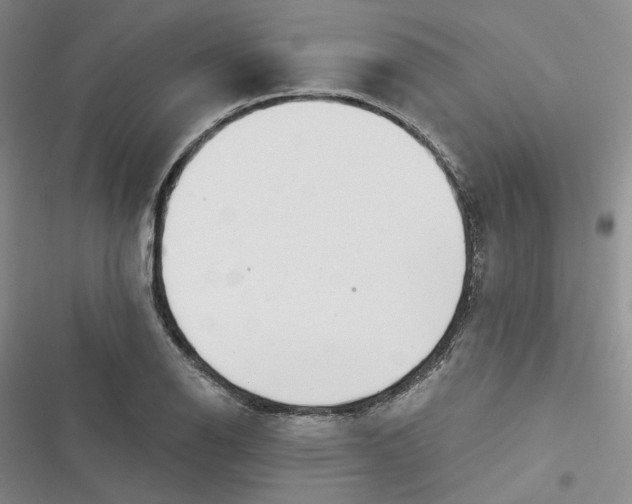 X0000116891126201001121338