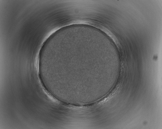 X0000116891127201001121338