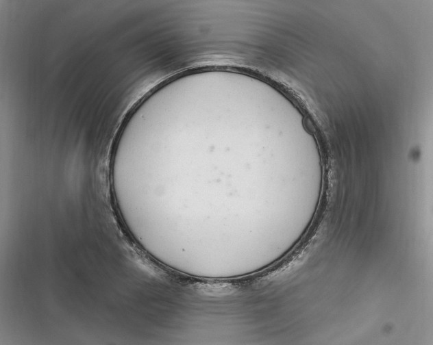 X0000116891129201001121338