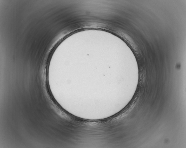 X0000116891130201001121338