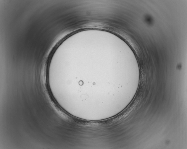 X0000116891131201001121338