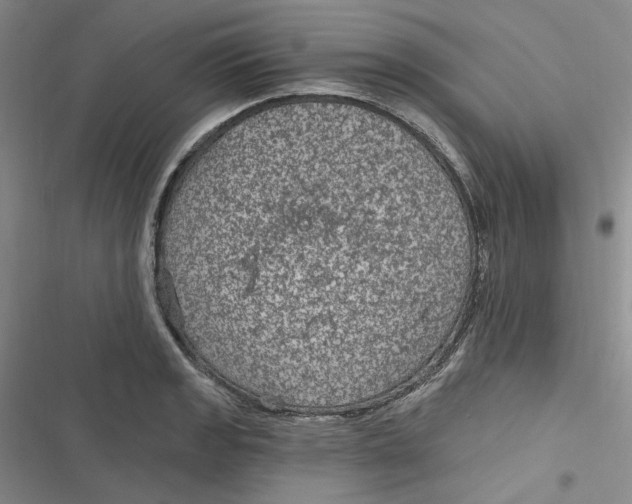 X0000116891133201001121338