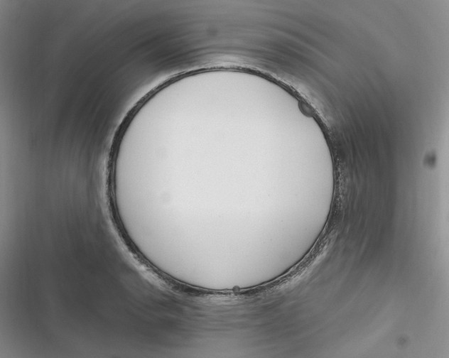 X0000116891134201001121338