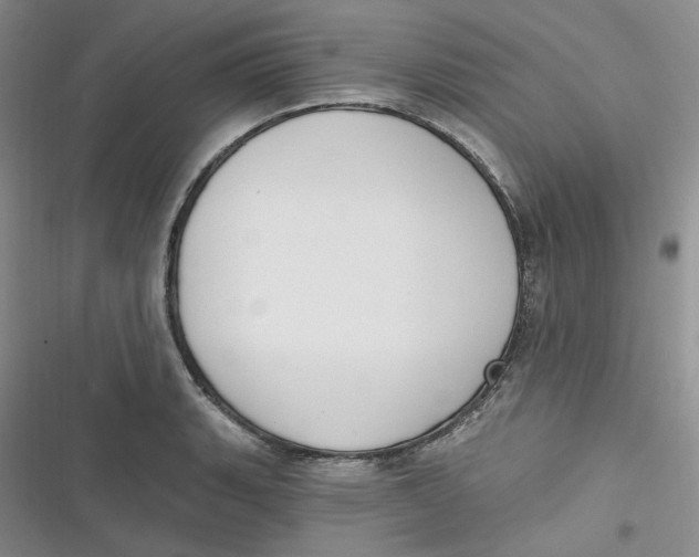 X0000116891135201001121338