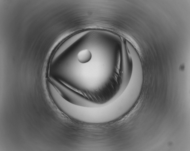 X0000116891138201001121338