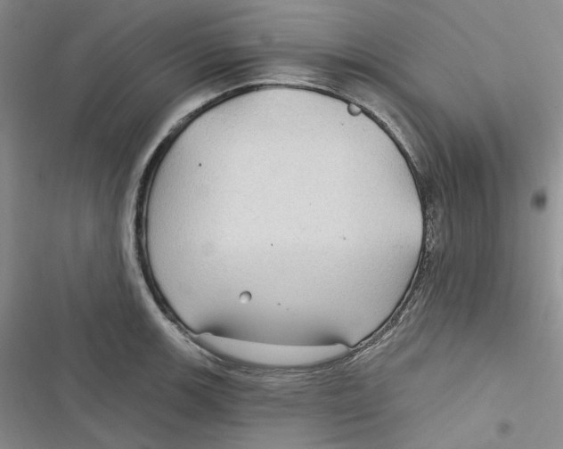 X0000116891139201001121338