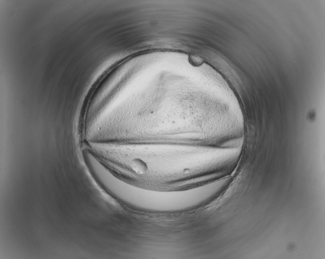 X0000116891141201001121338