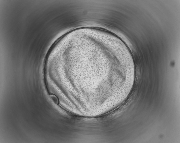 X0000116891142201001121338