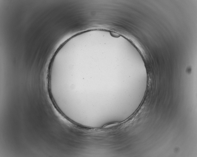 X0000116891143201001121338