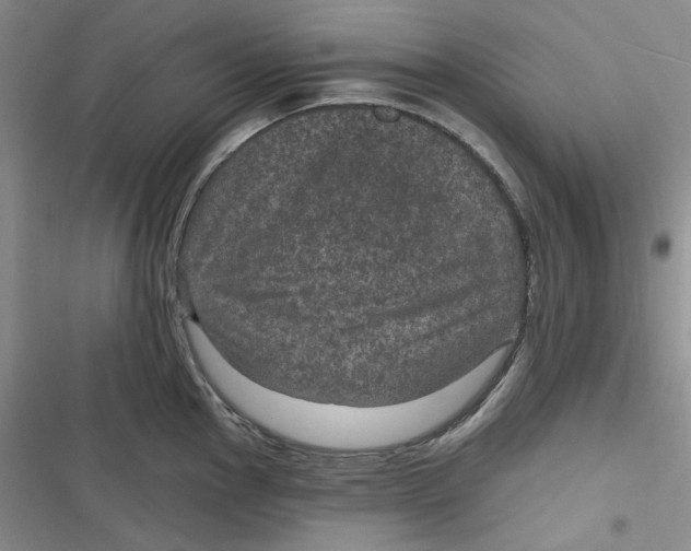 X0000116891145201001121338