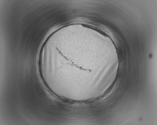 X0000116891146201001121338