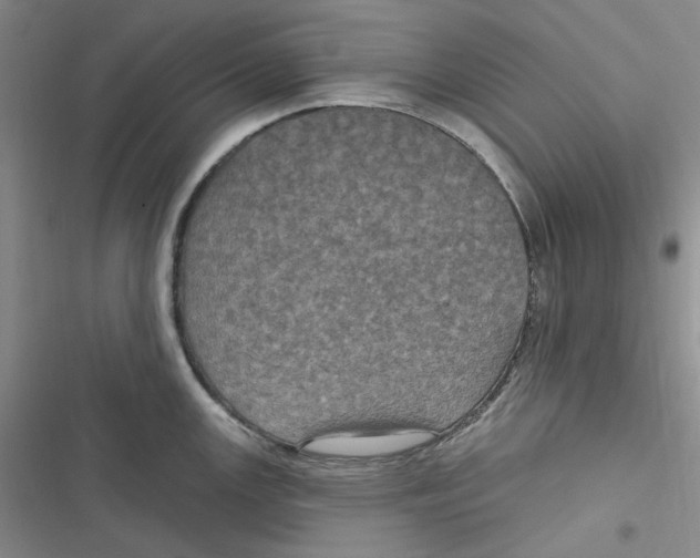 X0000116891147201001121338