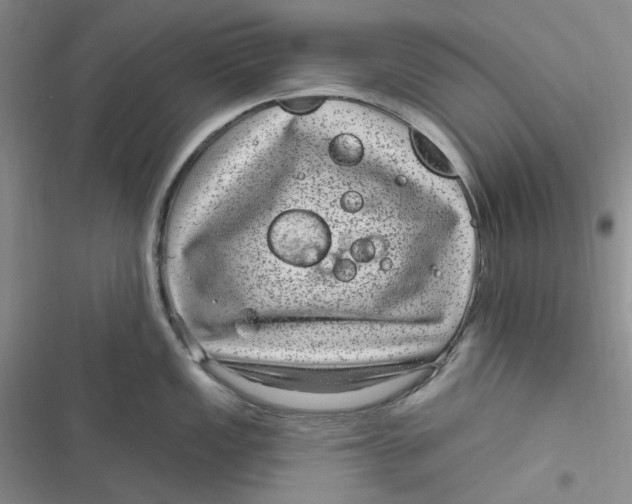 X0000116891149201001121338