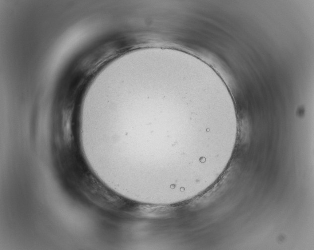 X0000116891150201001121338