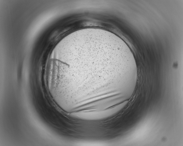 X0000116891151201001121338