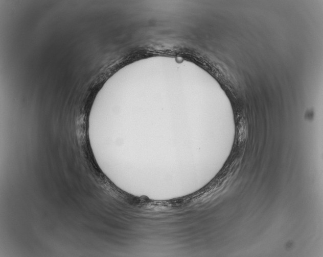 X0000116891156201001121337