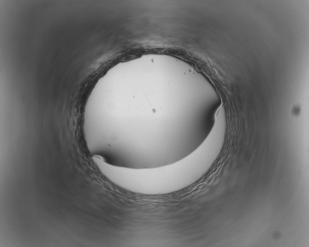 X0000116891157201001121337