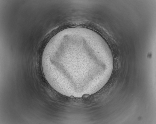 X0000116891158201001121337