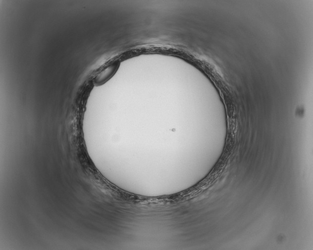 X0000116891159201001121337